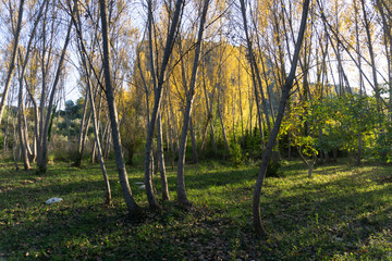 Barranc de l'Encantada