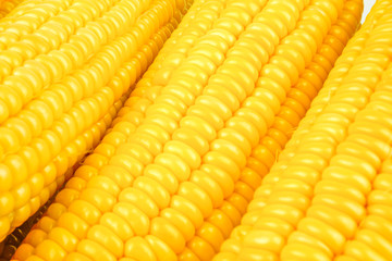 fresh raw corn cob isolated on white background