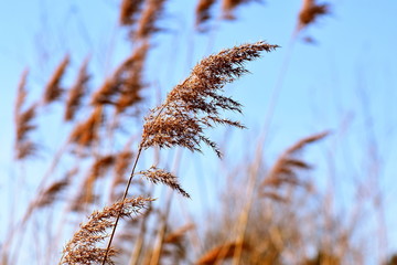 Naturfotografie