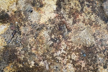 texture of stone