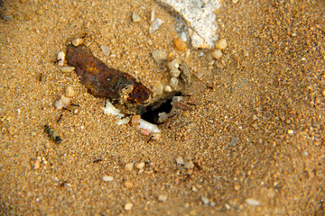 Sand