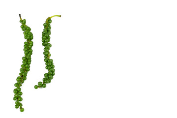 Fresh green pepper.(Piper nigrum Linn) Piperaceae or Peppercorns isolated on white background.food ingredient