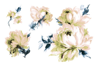 Flowers watercolor illustration.Manual composition.Big Set watercolor elements. - 323423629