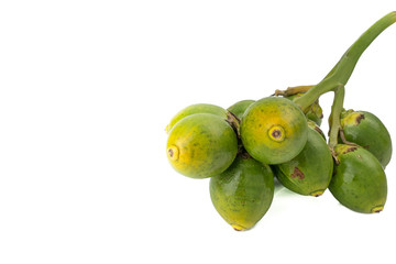 Fresh Areca nut palm or Betel nut palm (Areca catechu Linn.) isolated on white background.