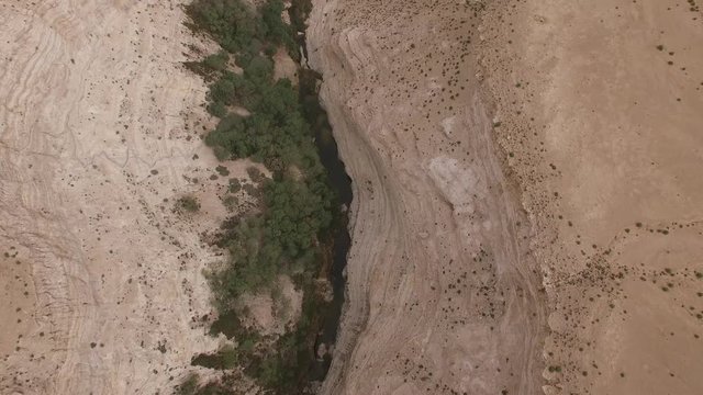 Top aerial view of Ein Avdat canyon. Negev Desert. Israel. DJI-0207-09