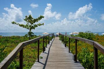 Obraz premium A pier / bridge going to the ocean