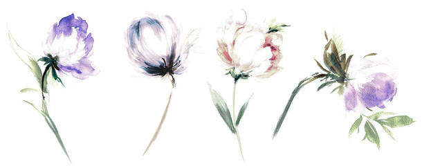 Flowers watercolor illustration.Manual composition.Big Set watercolor elements.