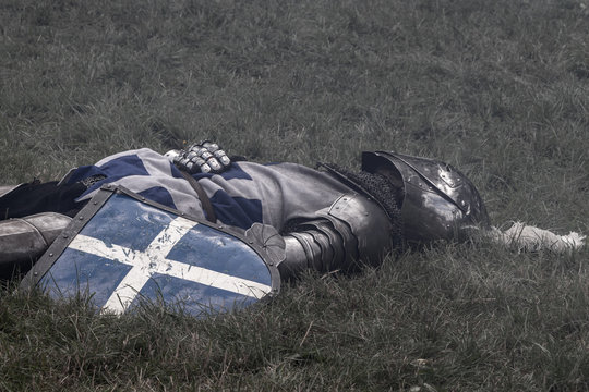A fallen knight in full dress on the slaughter field.