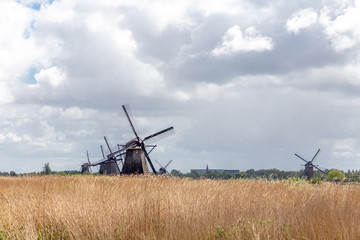 Naklejka premium Water mill. Kinderdijk, South Holland province, Netherlands.