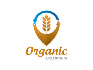 Wheat logo template design, icon, symbol