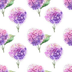 Watercolor seamless patterns with blooming hydrangea branches. Bright inflorescences