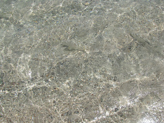 abstract natural background small fishes in coastal water on a background of sand in the Red Sea