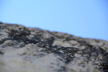 Stone texture