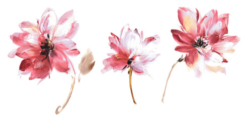 Flowers watercolor illustration.Manual composition.Big Set watercolor elements. © lin