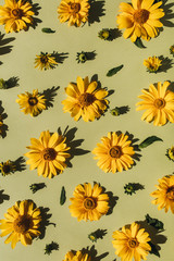Floral composition with yellow daisy flower buds pattern texture background. Flatlay, top view.
