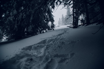 Winter landscape in the higest Carpahian mountains near Yaremche in the sunset