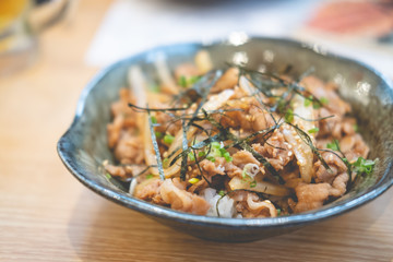 Grilled slice pork on rice bowl in Japanese style butadon