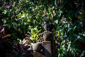 stone fountain in the graden with bird