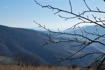 View of branches, mountains and sky