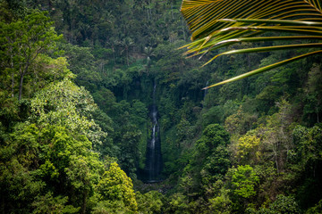 waterfall in the middle of bali jungle