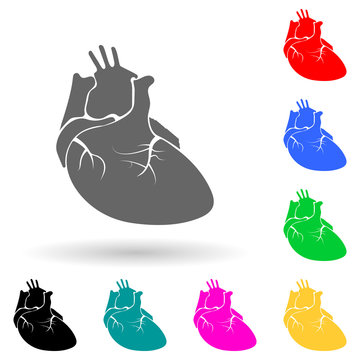 real image of the human heart multi color style icon. Simple glyph, flat vector of human parts icons for ui and ux, website or mobile application