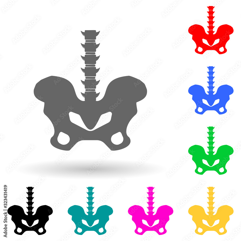 Poster hipbone multi color style icon. simple glyph, flat vector of human parts icons for ui and ux, websit