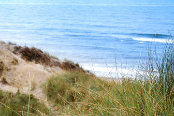 Sonne, Strand und Meer