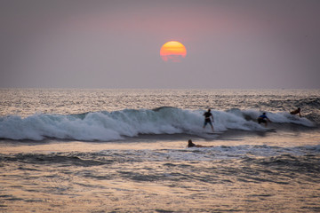 people are surfing during sunset