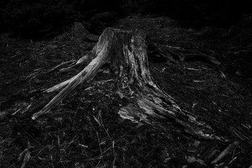 Old stub which was going to white by time.
