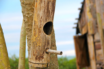 birdhouse