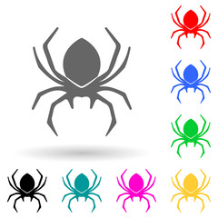 spider multi color style icon. Simple glyph, flat vector of insect icons for ui and ux, website or mobile application