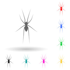 spider multi color style icon. Simple glyph, flat vector of insect icons for ui and ux, website or mobile application
