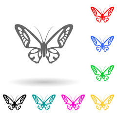 Fototapeta na wymiar butterfly multi color style icon. Simple glyph, flat vector of insect icons for ui and ux, website or mobile application