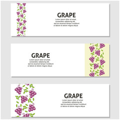 Grape fruit flat illustration with leaves vector banner background set of 3. Scalable and editable. Vector design for banner, background, card, landing page, brochure, flyer, cover