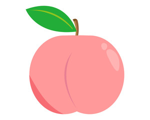 桃　白桃　フルーツ　果物