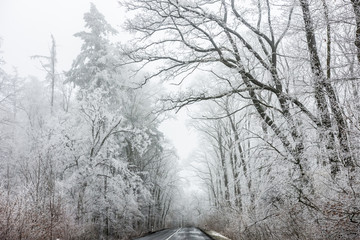  frosty landscape