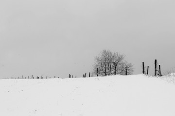 The magic of winter on the hill and the vineyard