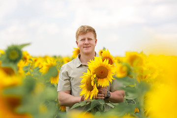 Smiling caucasian redhead man stands in the middle of yellow and green agriculture sunflower field and holds bouquet of sunflowers in his hands. Summer romance theme.