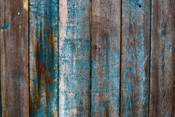 Painted in blue wooden strips damaged texture, wallpaper and background, close-up. Grunge rustic design, decoration and exterior or interior details concept