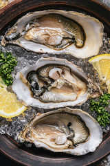 Fresh oysters with lemon ice and white wine.