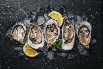 Fresh oysters with lemon ice and white wine. - obrazy, fototapety, plakaty