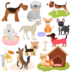 Fototapeta premium Dogs of different breeds, puppy set cute pets, vector illustration. Funny animals cartoon characters, playful puppy, toys and accessories for domestic pet. Various dogs, hound and terrier.