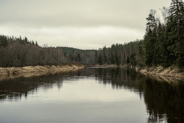 picturesque river in forest in autumn