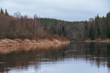 picturesque river in forest in autumn