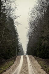 empty dirty gravel dirt road in forest