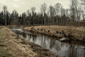 picturesque river in forest in autumn