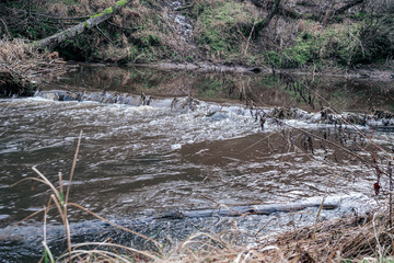 picturesque river in forest in autumn