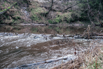 picturesque river in forest in autumn