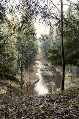 Fototapeta na wymiar picturesque river in forest in autumn