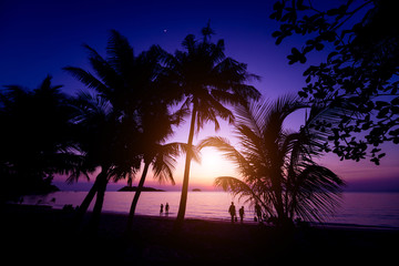 Beautiful sunset at the beach in the tropics. Sky and ocean